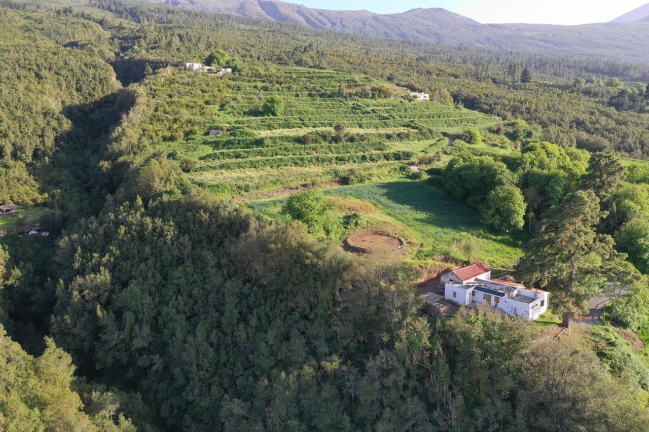 El Pino Centenario 8 La Orotava Exterior photo